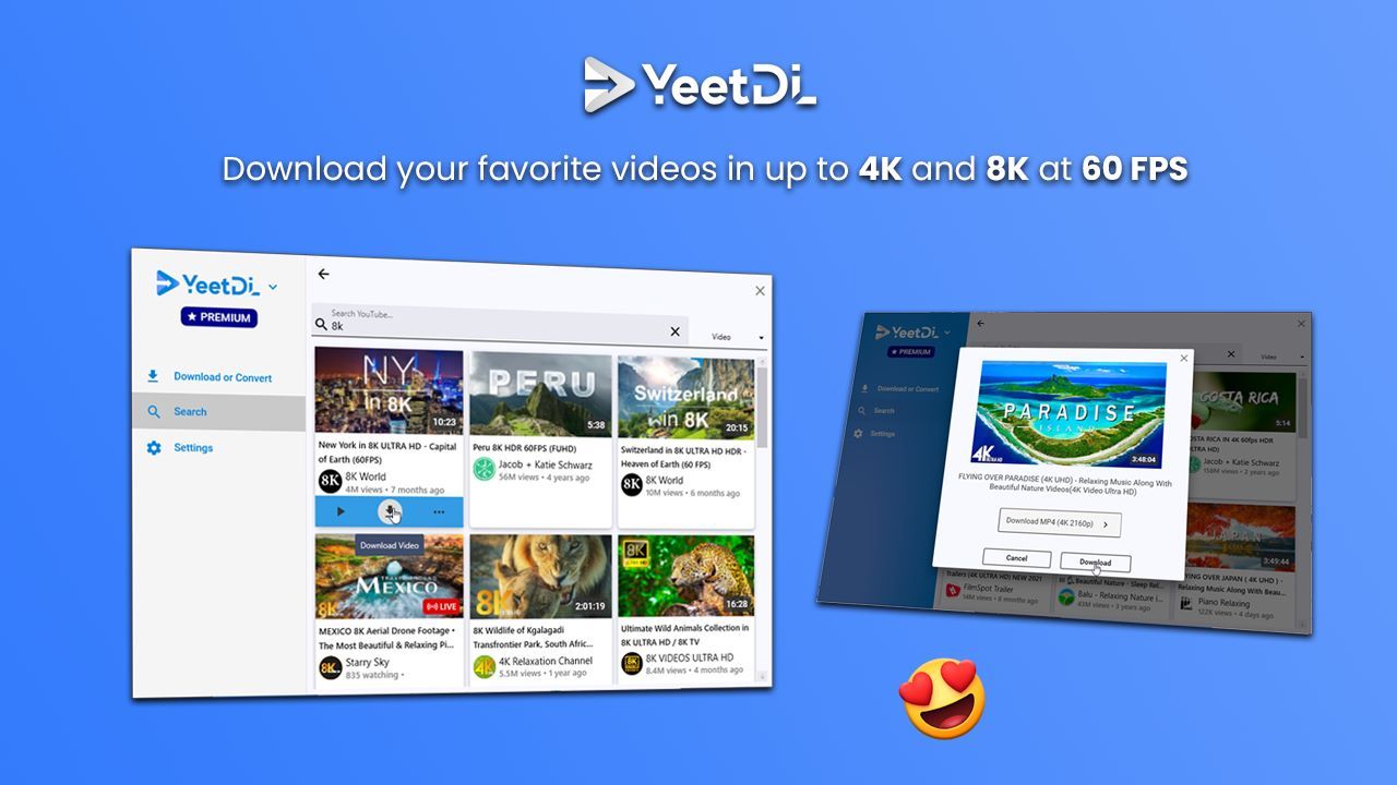 YeetDL - Video Downloader and MP3 Converter