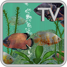 Oscar Fish Aquarium - 3D Aquarium Live App