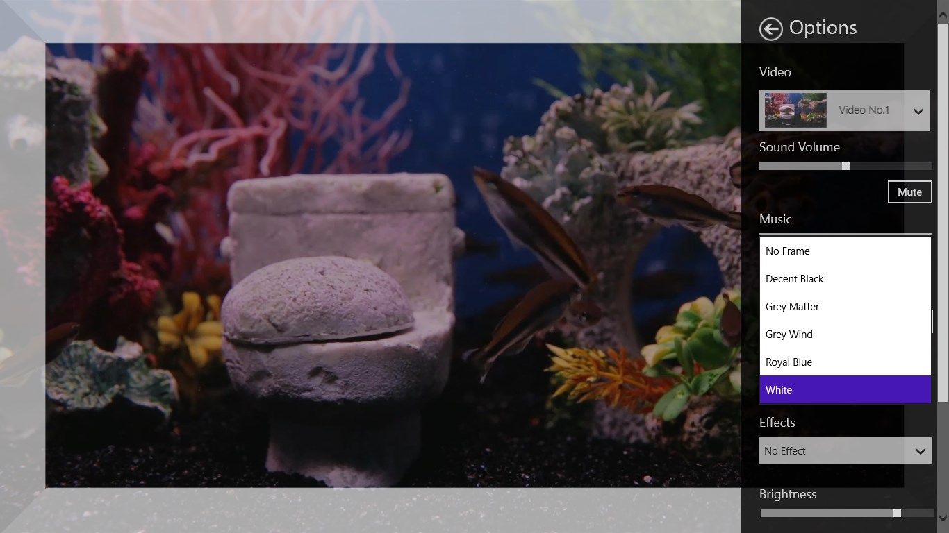 Toilet Tank Aquarium