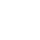Cricket Videos