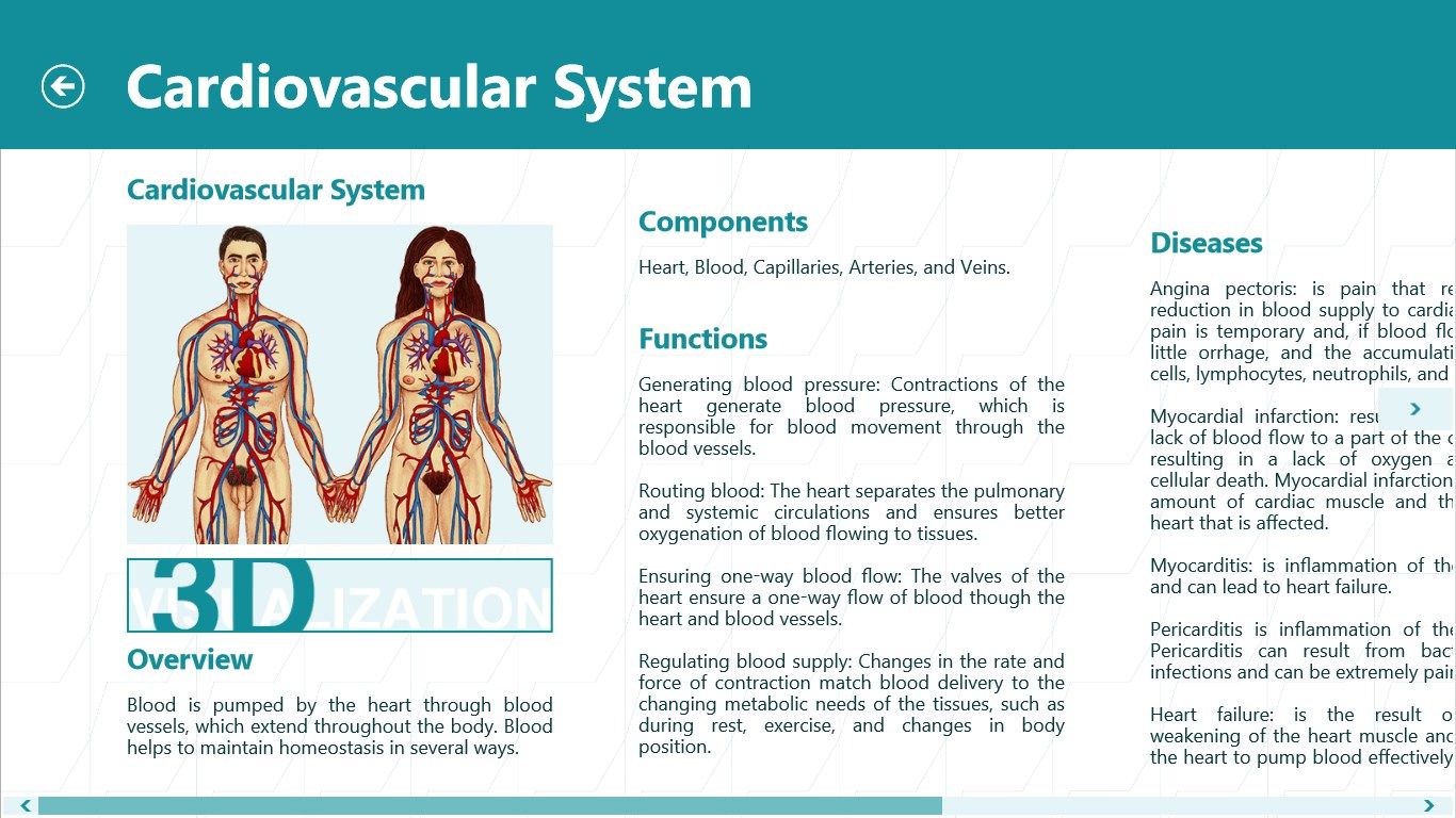 Detailed description of the cardiovascular system.