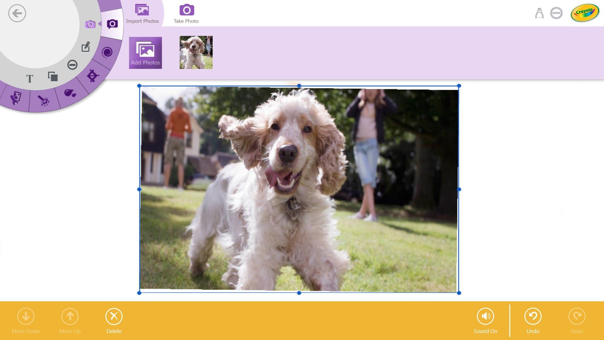 Import photos from your image gallery or click a photo from your device camera