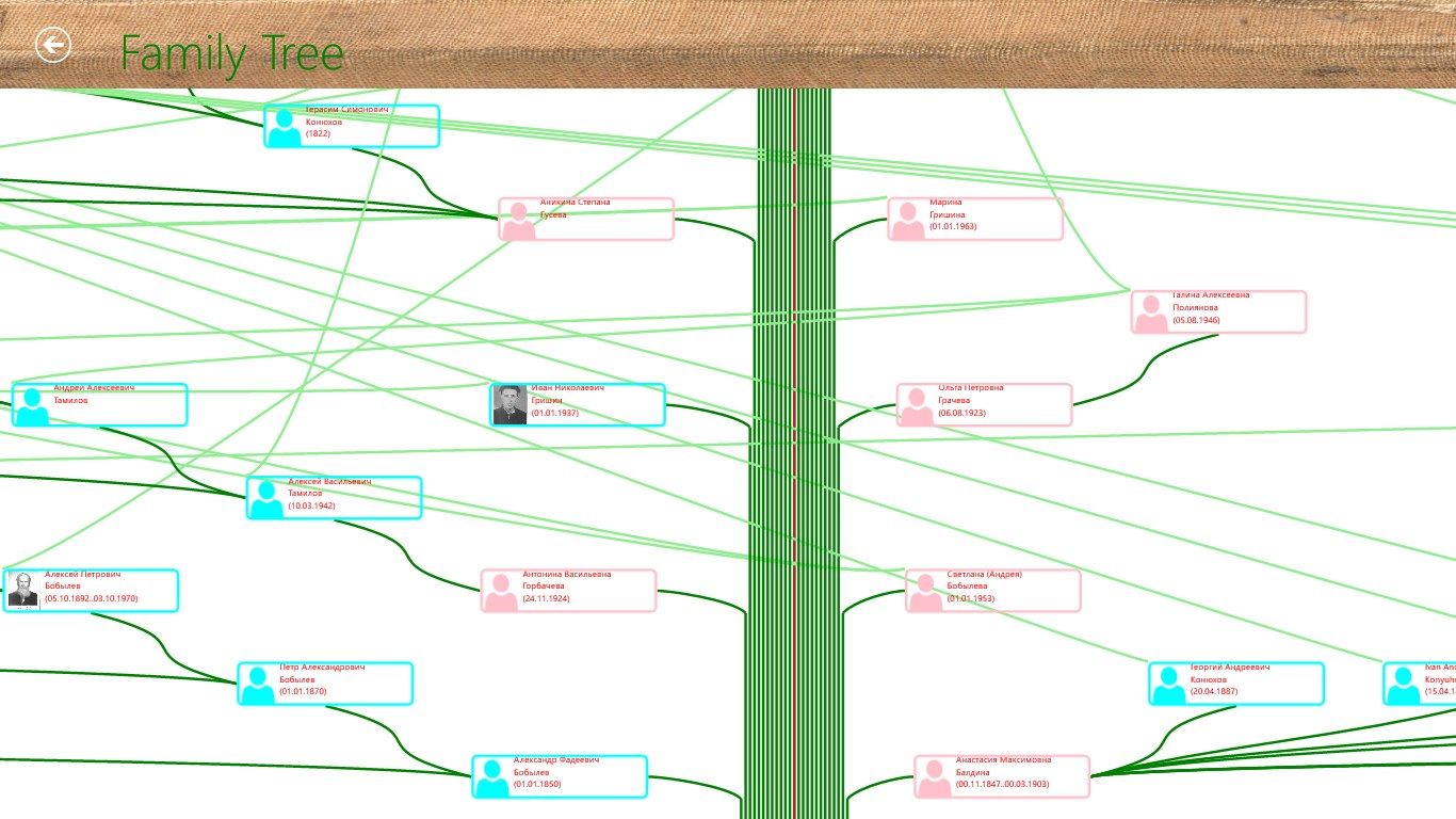 Genealogical tree