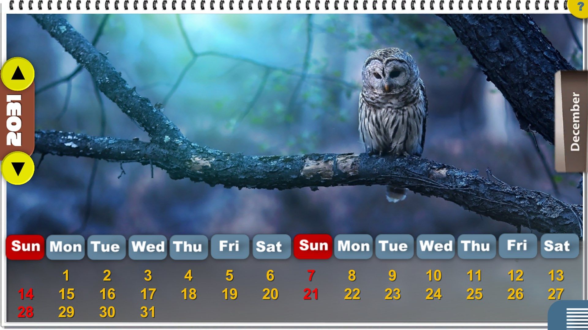 Amazing Birds Calendar [HD+]