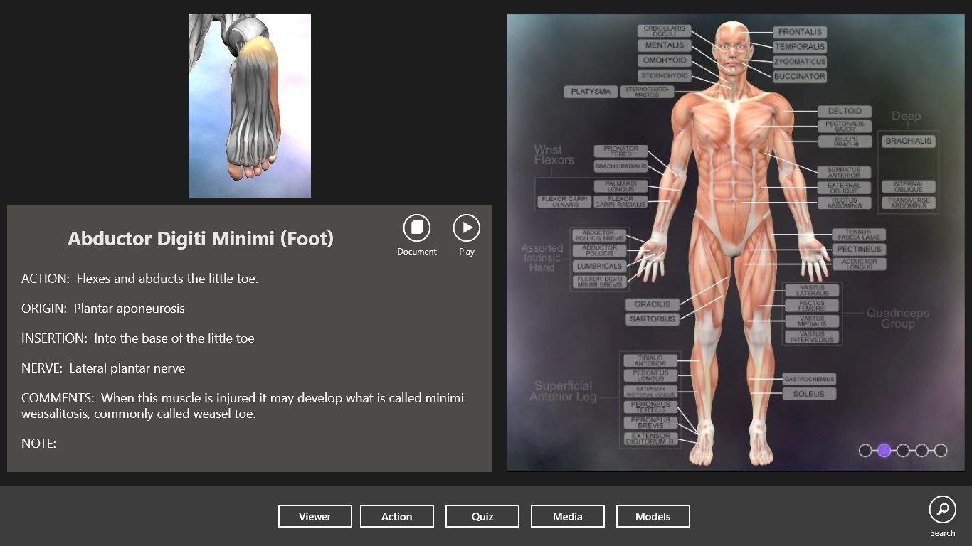 See muscle details, hear audio pronunciation, write notes