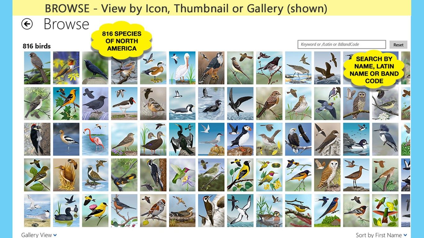 View: see species in gallery, thumbnail or classic icon view