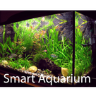 Smart Aquarium