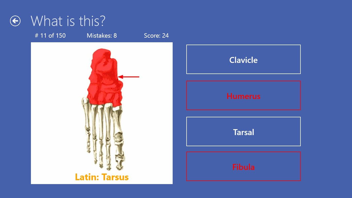 Quiz screen with Latin hint