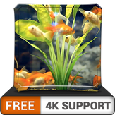 FREE Happy Aquarium HD - Decorate your room with beautiful sea life aquarium on your HDR 4K TV, 8K TV and Fire Devices as a wallpaper, Decoration for Christmas Holidays, Theme for Mediation & Peace
