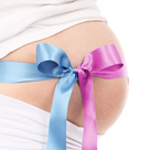 Natural Fertility Prescription - Pregnancy Home Study Program