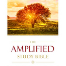 The Amplified Bible Free