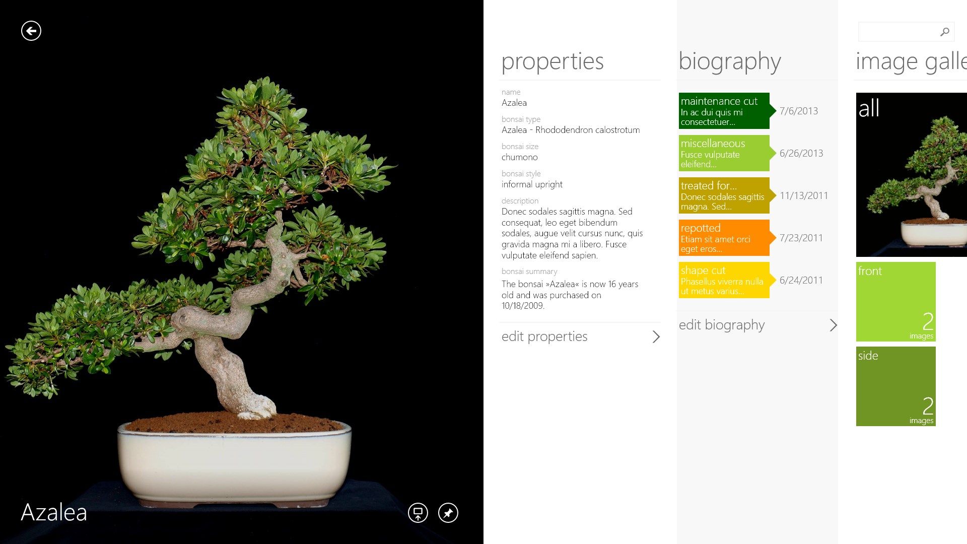 Setcard of a bonsai with biography and photo