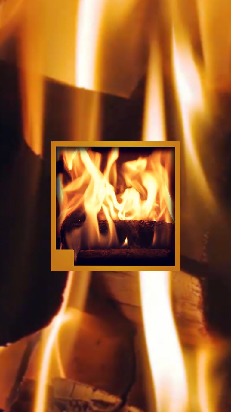 Burning wood Fireplace