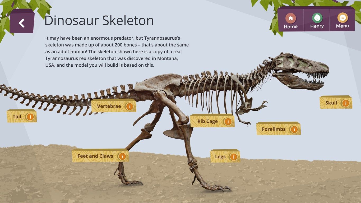 T. Rex skeleton made up of only 200 bones