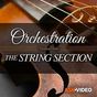 The String Section Course for Orchestration