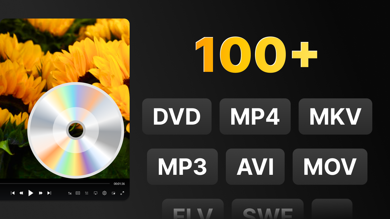 VidForth DVD Player: Free Video Player