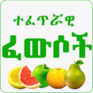 Islamic Ethiopian Traditional Medicine App