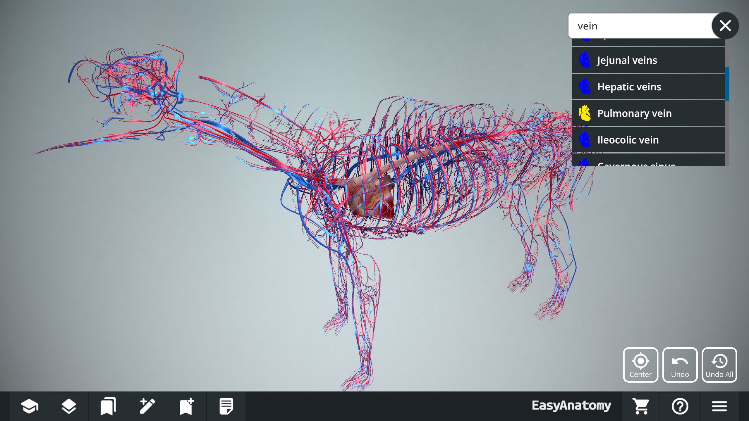 Use the quick search to help you find and identify any anatomical component.