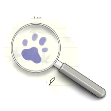 OCR de PawS