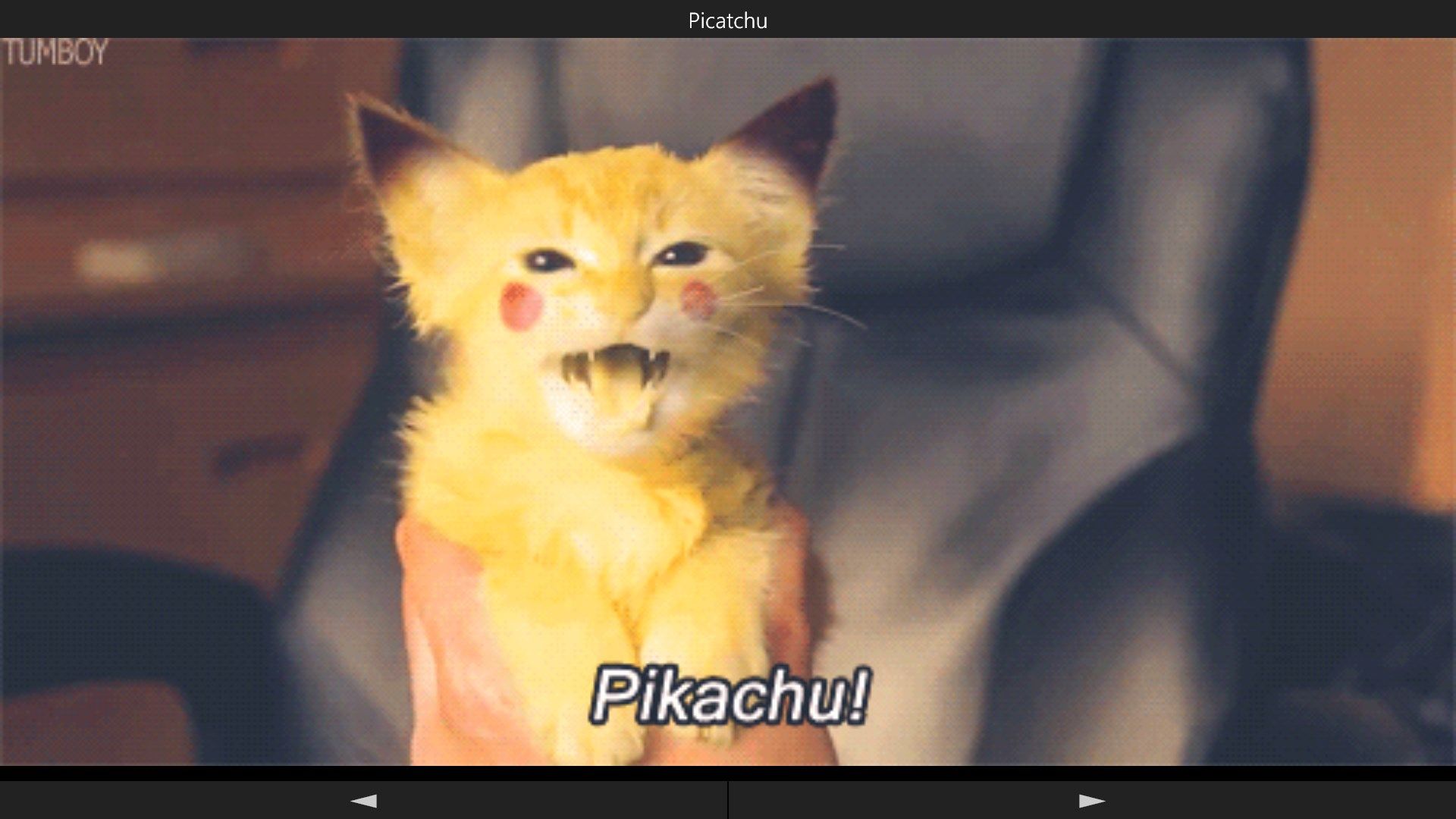 Example post: Pikachu cat